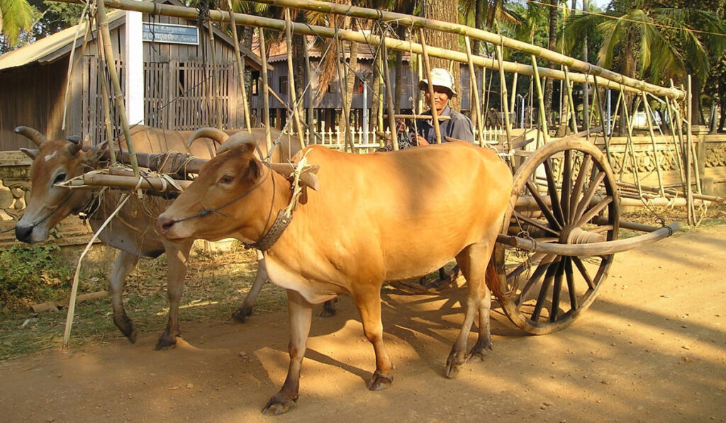カンボジアの農村