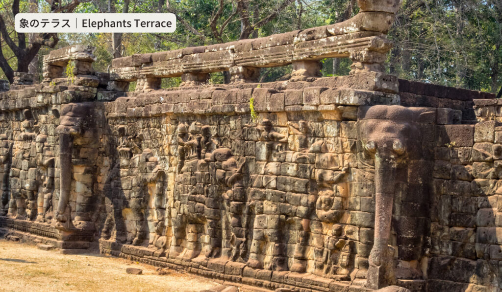Elephants Terrace