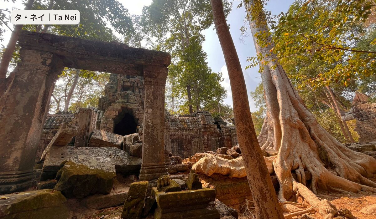 タ・ネイ [Ta Nei] 森の中に静かに佇む神秘的な遺跡の姿を堪能 CAMBODIA NOTE