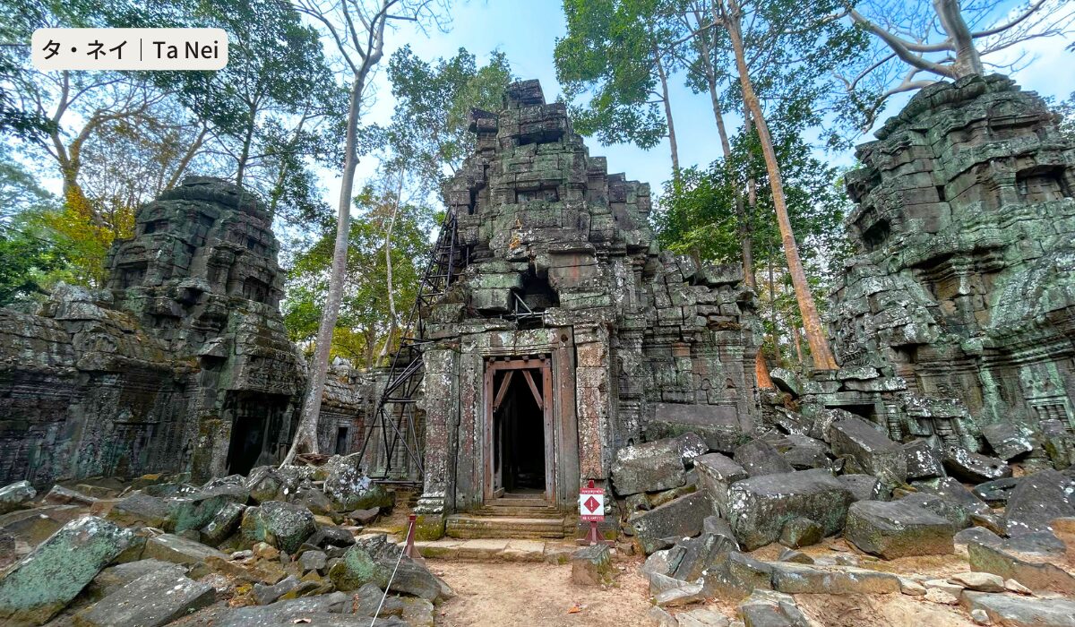 タ・ネイ [Ta Nei] 森の中に静かに佇む神秘的な遺跡の姿を堪能 CAMBODIA NOTE