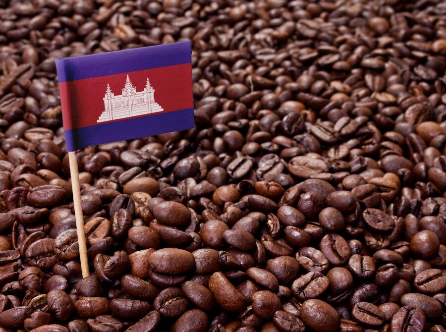 カンボジア産コーヒー豆