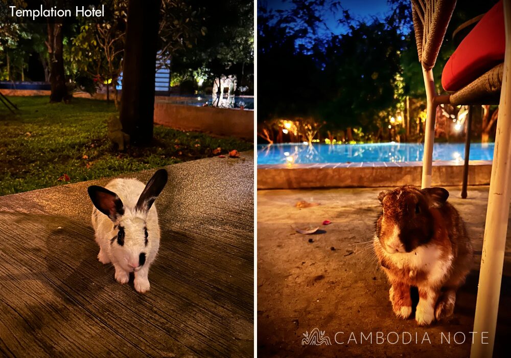 Templation Hotel, Siem Reap