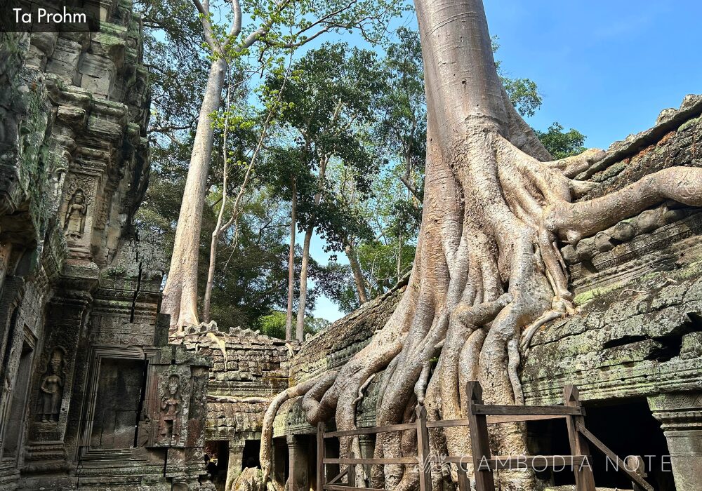 Ta Prohm