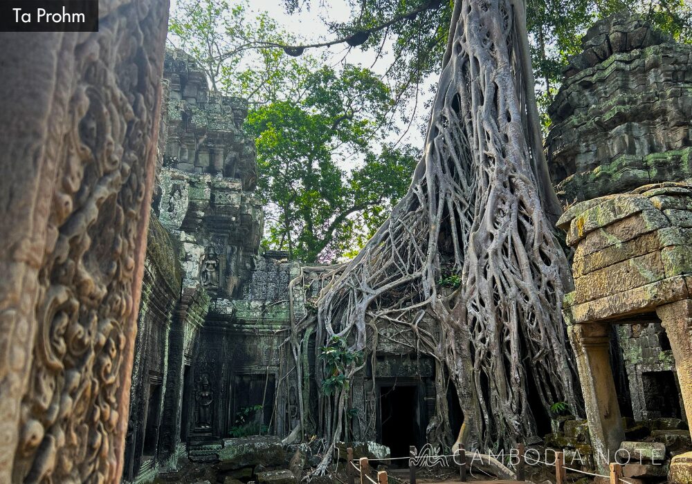 Ta Prohm