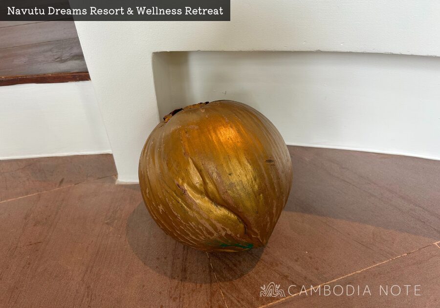 Navutu Dreams Resort & Wellness Retreat