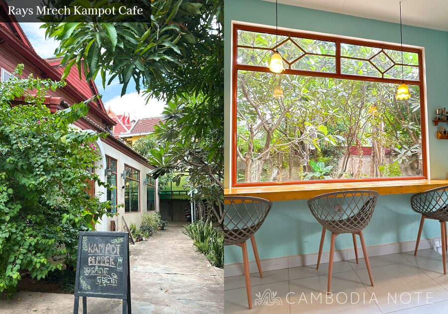 Rays Cafe & Rays Shop