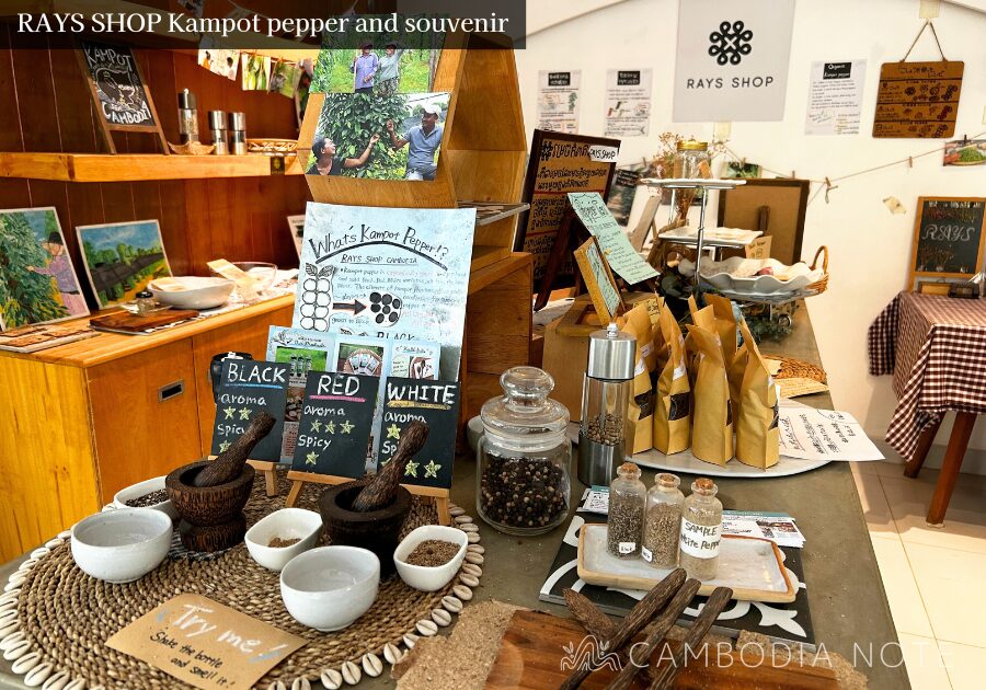 Rays Cafe & Rays Shop