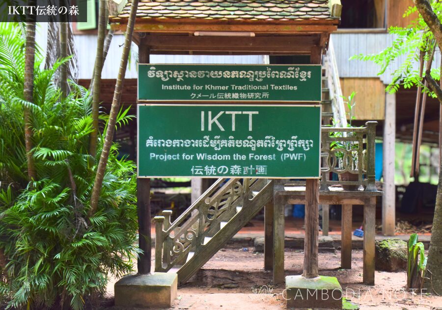 シェムリアップ郊外にあるIKTT伝統の森の自然風景。緑に囲まれた静かな環境。