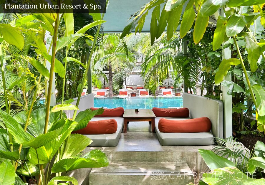 南国の植物に囲まれたPlantation Urban Resort & Spaの屋外プール。プールサイドのデッキチェアでリゾート気分を満喫できる