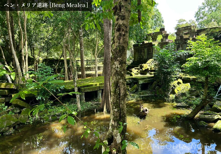 密林に覆われたベンメリア遺跡の崩壊した回廊と絡みつく樹木の根