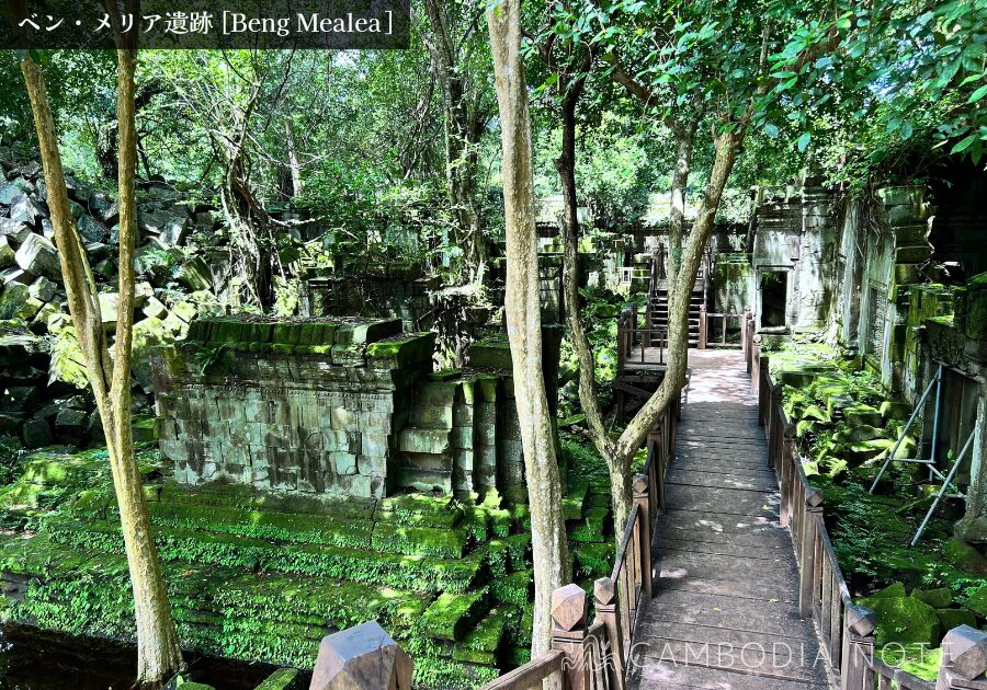 密林に覆われたベンメリア遺跡の崩壊した回廊と絡みつく樹木の根