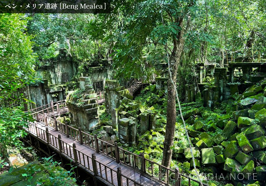 木製通路を歩く観光客|探検気分を味わえるベンメリア遺跡