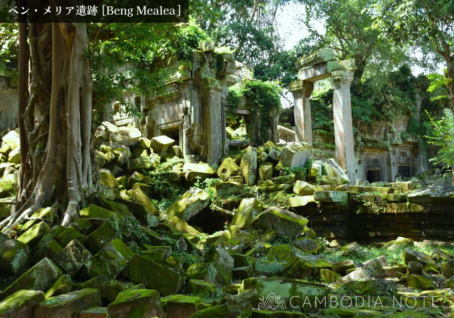 密林に覆われたベンメリア遺跡の崩壊した回廊と絡みつく樹木の根