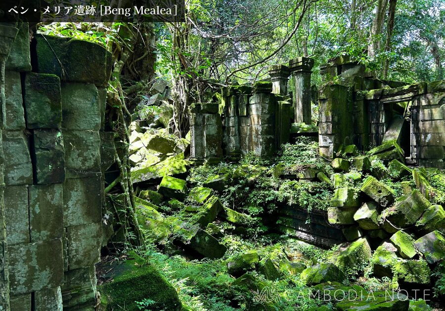 密林に覆われたベンメリア遺跡の崩壊した回廊と絡みつく樹木の根