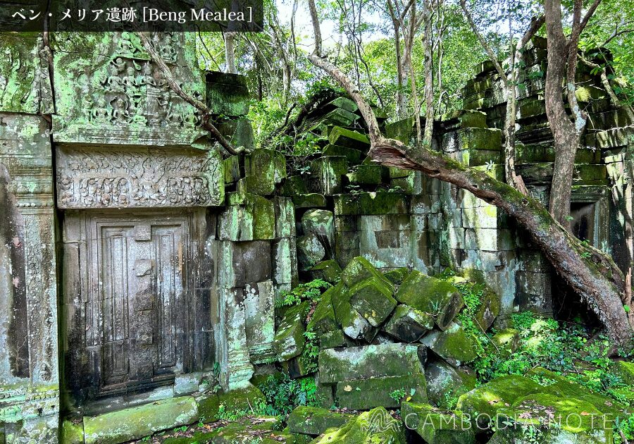 密林に覆われたベンメリア遺跡の崩壊した回廊と絡みつく樹木の根