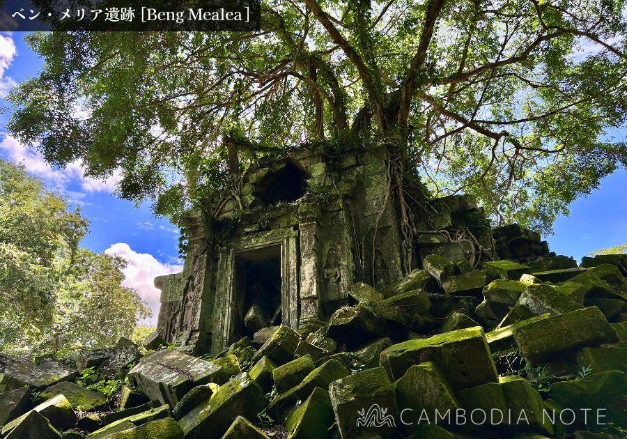 密林に覆われたベンメリア遺跡の崩壊した回廊と絡みつく樹木の根
