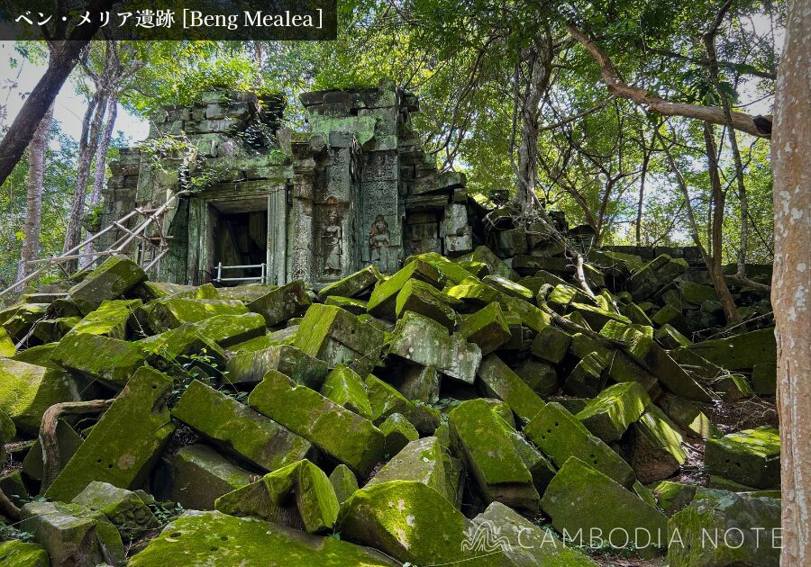 密林に覆われたベンメリア遺跡の崩壊した回廊と絡みつく樹木の根