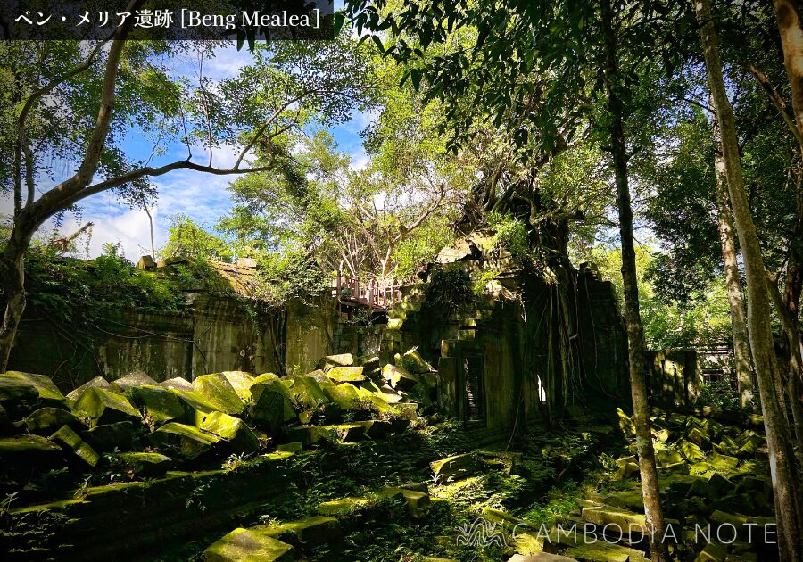 巨大な樹木の根に包まれた石塔|自然と一体化したベンメリア遺跡の象徴