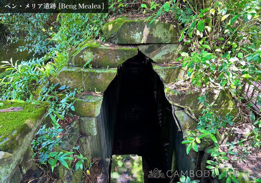 ベンメリア遺跡の光が届かない暗い通路