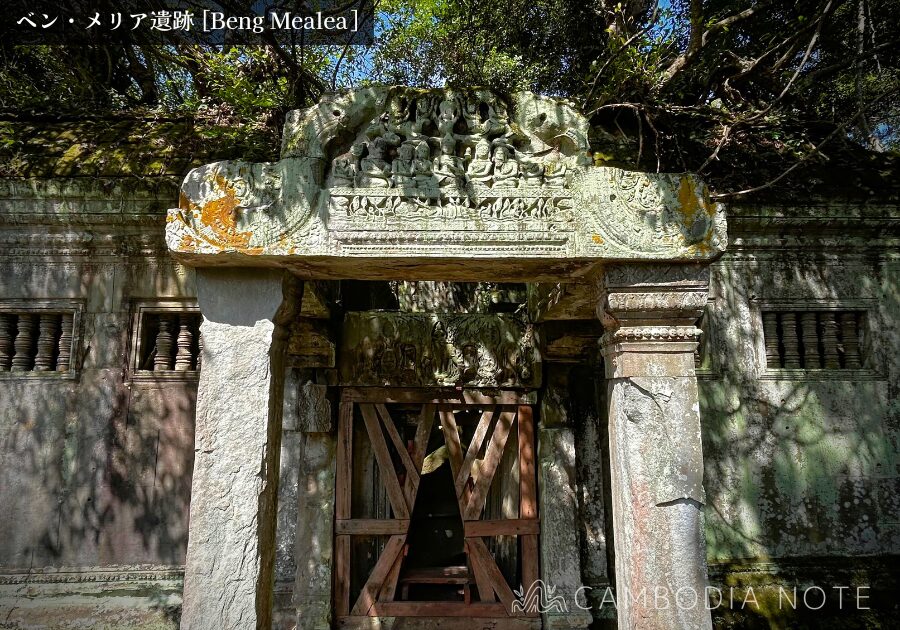 密林に覆われたベンメリア遺跡の崩壊した回廊と絡みつく樹木の根