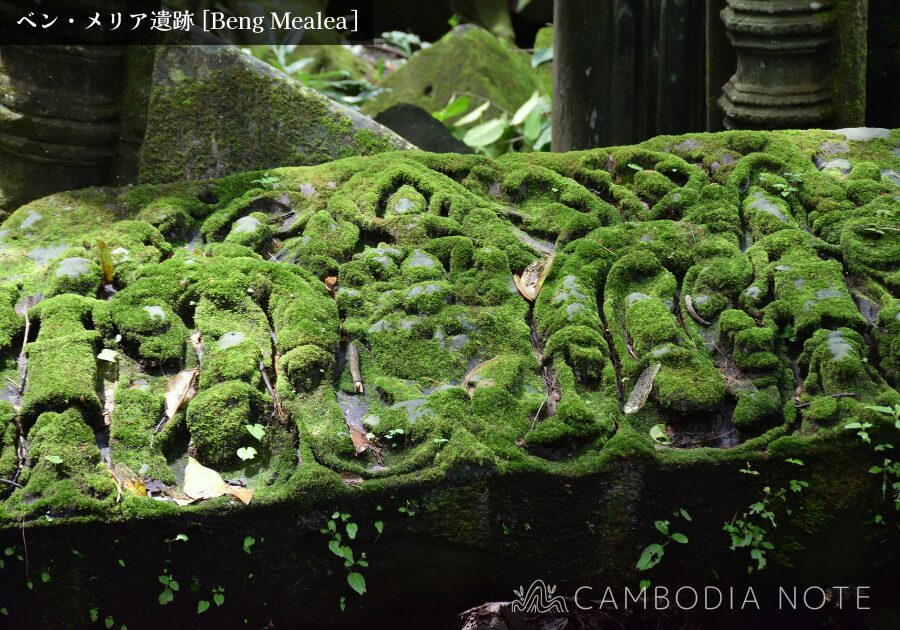 ベンメリア遺跡に残されたリンテルのレリーフ