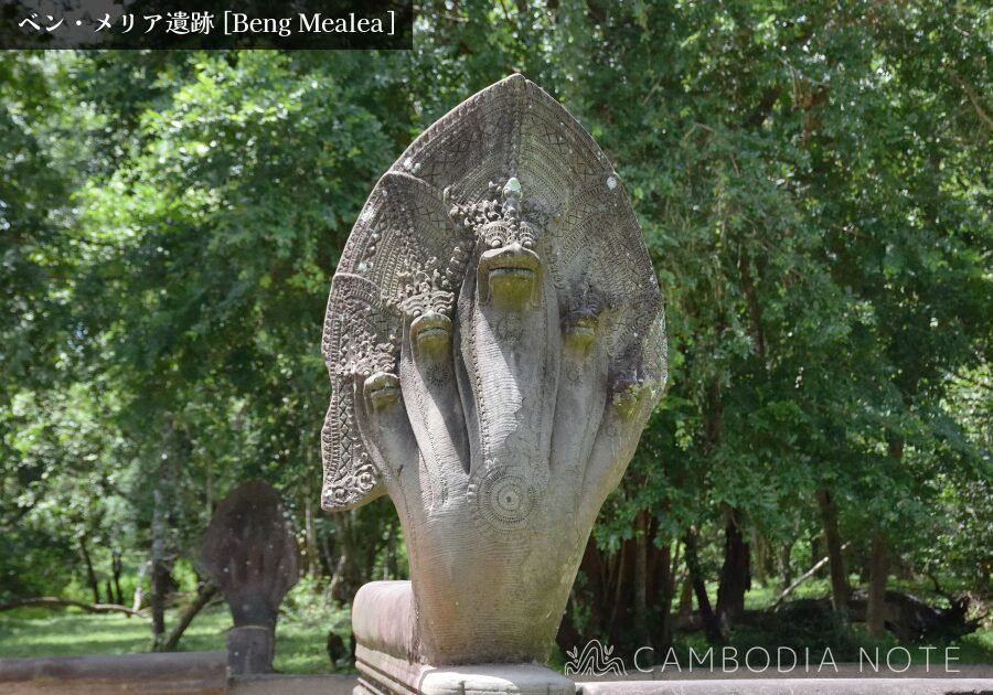 ベンメリア遺跡で発見された、保存状態の良好なナーガ