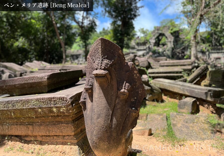 ベンメリア遺跡で発見された、保存状態の良好なナーガ