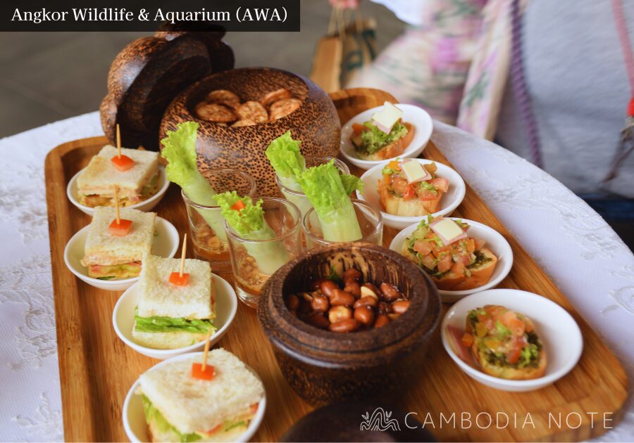 River Monster Lectureツアー開始前に提供されるドリンクと生春巻きの軽食セット