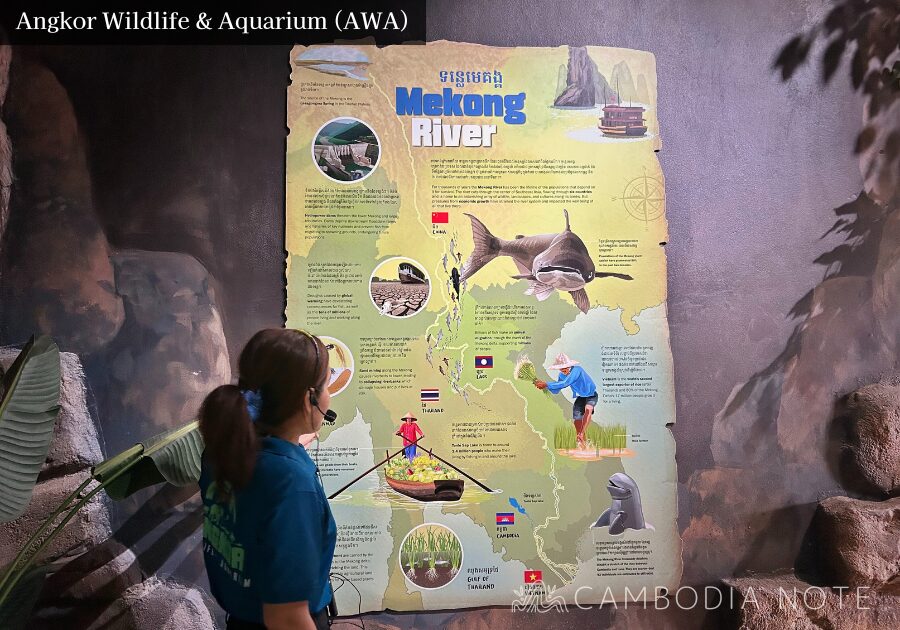 Angkor Wildlife & AquariumのRiver Monster Lectureで英語ガイドが解説している場面