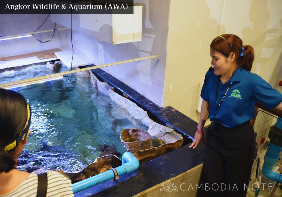 Angkor Wildlife & AquariumのRiver Monster Lectureで英語ガイドが解説している場面