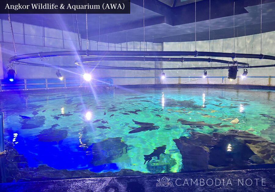 水族館の裏側にある大型ろ過装置をツアー参加者が見学