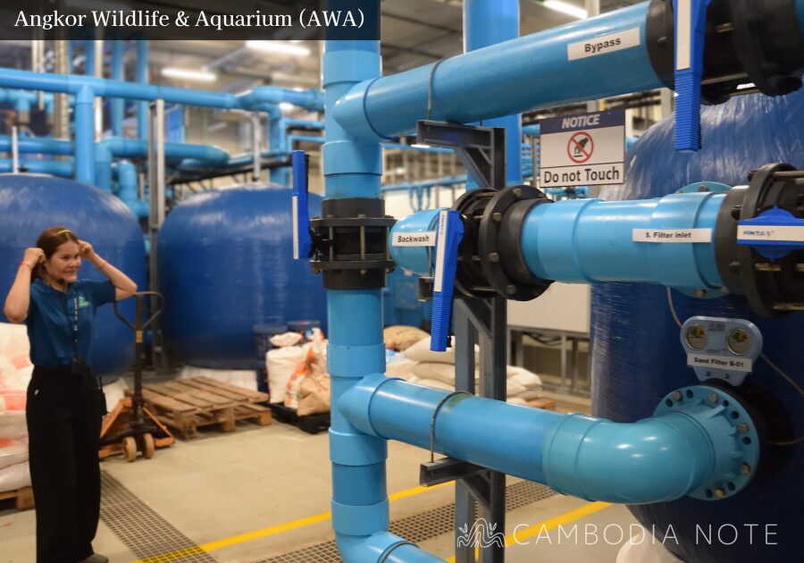 水族館の裏側にある大型ろ過装置をツアー参加者が見学