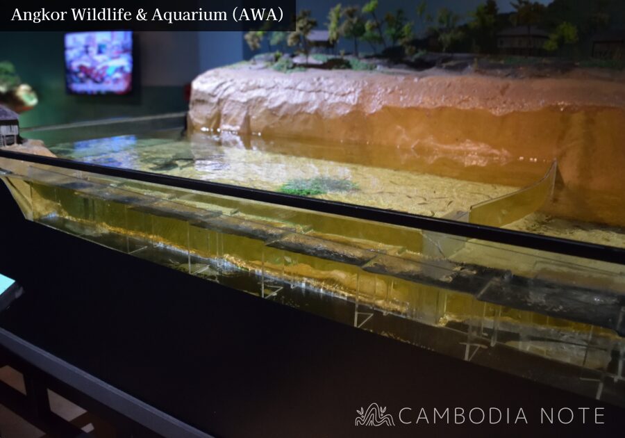 メコン川に建設されている大規模なダムによる影響を解説するための「フィッシュラダー（魚道）」の模型