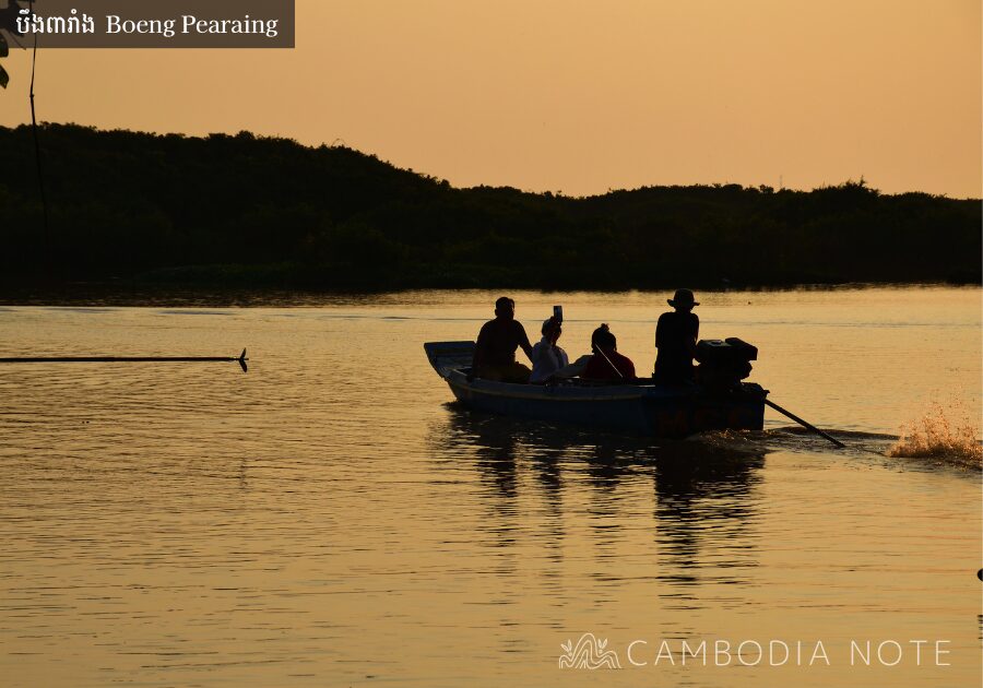 トンレサップ湖のBoeng Pearaingでボートに乗りバードウォッチングを楽しむ様子