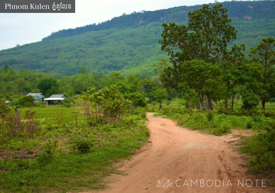 プーン・コムヌー(ពើងគំនូរ / Peung Kom Nuo)
